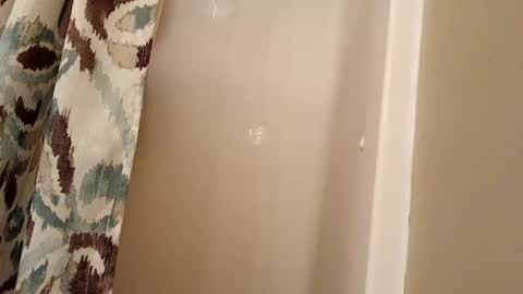 Snapshot of jaywulf22 chatting on 11/04/25, 04:33 jaywulf22 online show from 11/04/25, 04:33