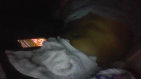 jaywulf22 online show from 01/19/26, 05:11