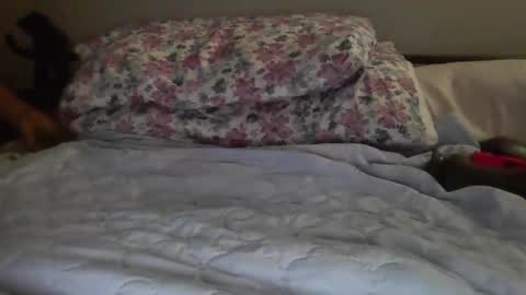 jazzilove online show from 12/15/24, 03:56