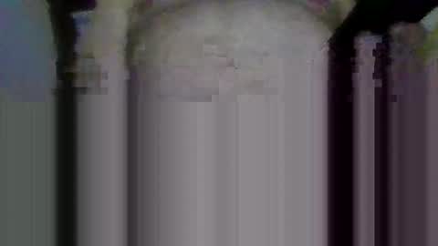 jb78510170 online show from 03/22/26, 04:27