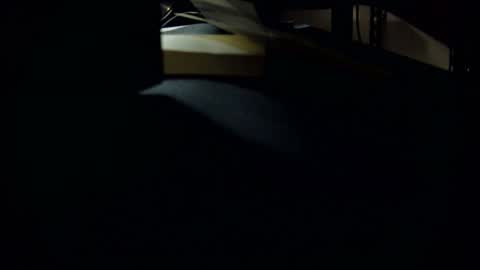 Snapshot of jbvgjjj chatting on 03/01/25, 10:24 dookie online show from 03/01/25, 10:24