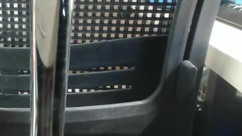 jc200000 online show from 12/23/24, 09:08