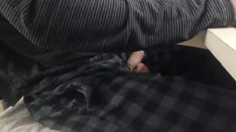 jc200000 online show from 11/03/25, 06:31