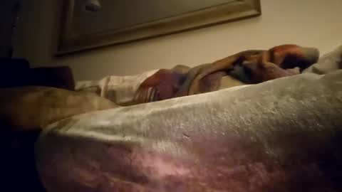 Snapshot of jcramirez1975 chatting on 12/21/24, 03:03 Jcramirez1975s online show from 12/21/24, 03:03