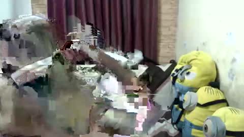 Snapshot of jdan81 chatting on 09/28/25, 05:07 GorgeousCASSIE online show from 09/28/25, 05:07