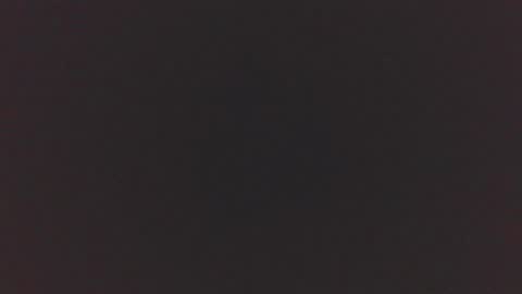 jdog00133 online show from 11/16/25, 08:58