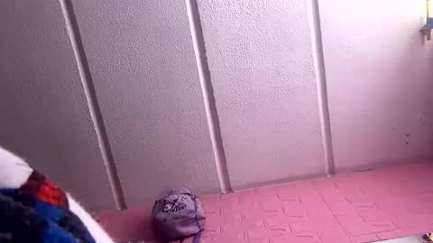 jdsj1a873165 online show from 03/18/26, 03:04