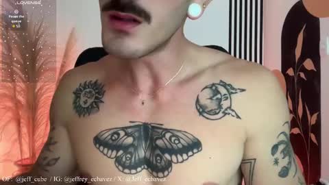 Snapshot of jeff_cube chatting on 11/23/25, 02:33 Jeff and Mugi Independent model online show from 11/23/25, 02:33