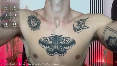 Snapshot of jeff_cube chatting on 11/24/25, 01:55 Jeff and Mugi Independent model online show from 11/24/25, 01:55