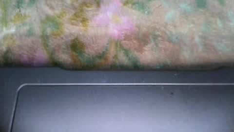 jenifer_91 online show from 12/31/24, 02:08