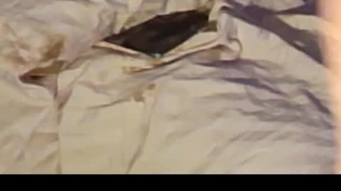 Jennie bttmcd online show from 02/14/25, 12:36