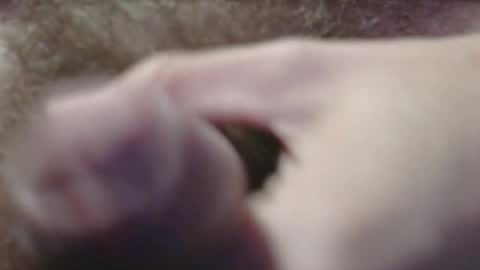 jerkingtyce online show from 05/03/26, 03:12