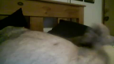 jerkmate6666 online show from 03/12/26, 11:44