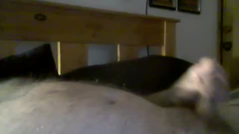 jerkmate6666 online show from 03/15/26, 09:32