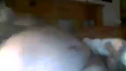 jerkmate6666 online show from 07/15/26, 08:52