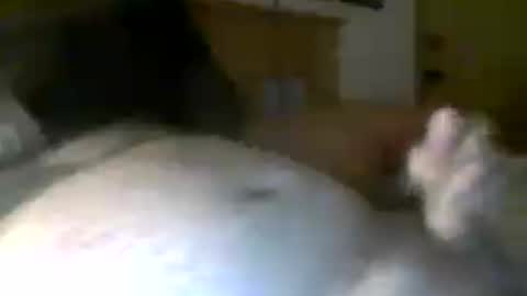 jerkmate6666 online show from 07/20/26, 06:28