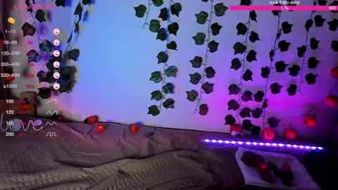 SakuraMio online show from 11/27/25, 11:40