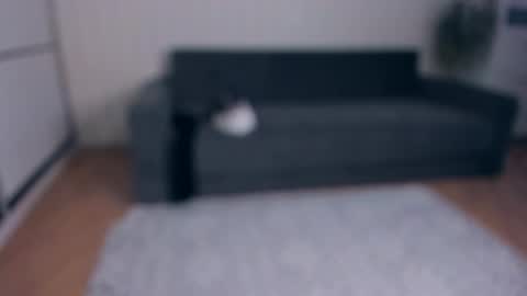 NEW VIDEO IN BIO online show from 11/25/25, 07:52