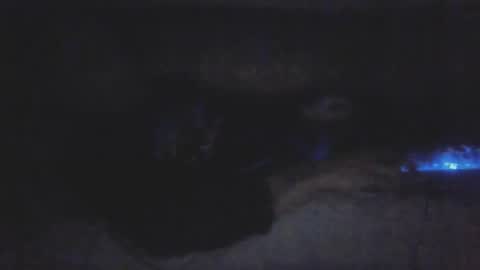 Snapshot of jetjon762844 chatting on 02/09/26, 10:41 jetjon762844 online show from 02/09/26, 10:41