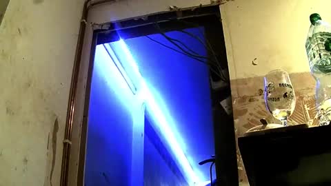 Snapshot of jhkhjku538466 chatting on 02/17/25, 04:09 jhkhjku538466 online show from 02/17/25, 04:09