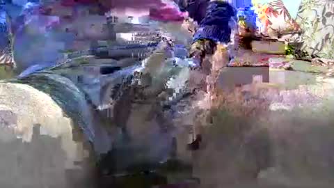 Snapshot of jimii281 chatting on 01/12/26, 09:53 jimii281 online show from 01/12/26, 09:53