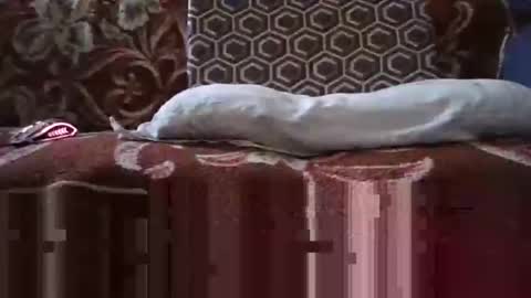 Snapshot of jimmyshelby12 chatting on 01/25/25, 06:34 jimmyshelby12 online show from 01/25/25, 06:34