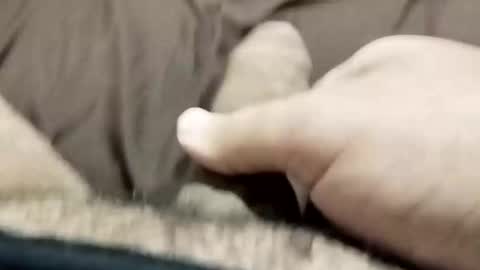 Snapshot of jj3377 chatting on 10/26/25, 06:08 jj3377 online show from 10/26/25, 06:08