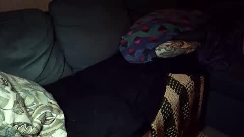 jjbeefy online show from 05/10/26, 01:00
