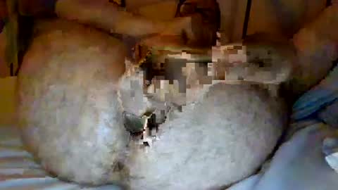 Snapshot of jjhot902921 chatting on 06/25/26, 02:44 jjhot902921 online show from 06/25/26, 02:44