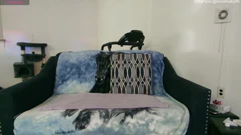 Snapshot of jjjust4fun1985 chatting on 12/22/24, 01:55 Nicole  Allen online show from 12/22/24, 01:55