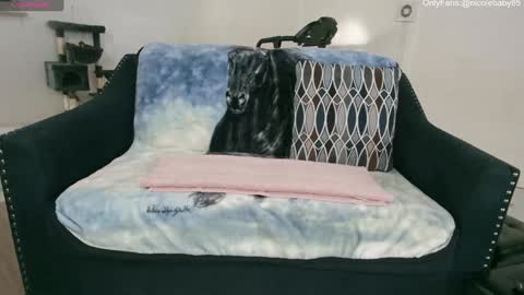 Snapshot of jjjust4fun1985 chatting on 01/01/25, 10:24 Nicole  Allen online show from 01/01/25, 10:24