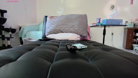 Snapshot of jjjust4fun1985 chatting on 09/18/25, 10:01 Nicole  Allen online show from 09/18/25, 10:01