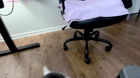 Snapshot of jjjust4fun1985 chatting on 12/03/25, 09:02 Nicole Allen online show from 12/03/25, 09:02