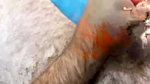 Snapshot of jkriss4545 chatting on 09/27/25, 06:24 Jkriss online show from 09/27/25, 06:24