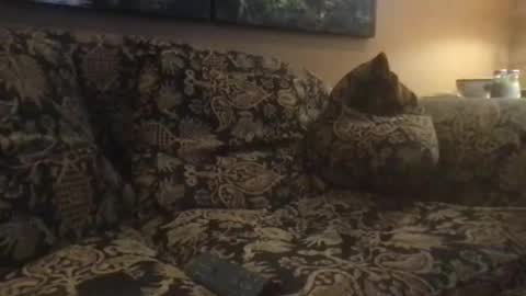 Snapshot of jlk7777 chatting on 02/25/25, 05:04 jlk7777 online show from 02/25/25, 05:04