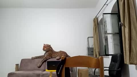 Snapshot of jlmbud chatting on 10/20/25, 12:33 jlmbud online show from 10/20/25, 12:33