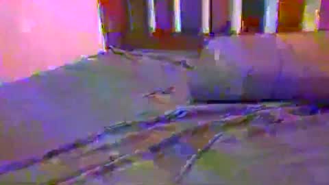 Snapshot of jlrf90 chatting on 02/17/25, 10:29 tip me online show from 02/17/25, 10:29