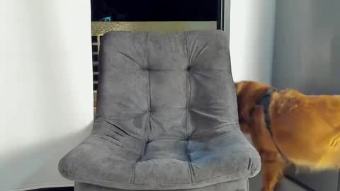 JOAN SAENZ online show from 01/09/25, 03:47