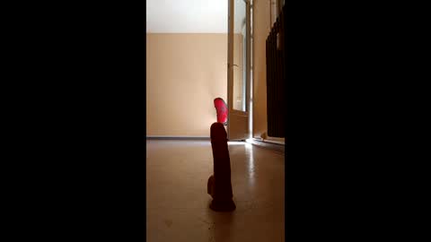 jobi88 online show from 04/05/26, 11:51