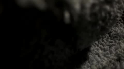 joekent795447 online show from 04/20/26, 04:04