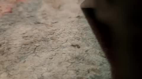 Snapshot of joemancini643 chatting on 09/21/25, 02:13 joemancini643 online show from 09/21/25, 02:13