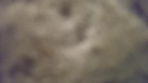 Snapshot of joemomma612 chatting on 10/14/25, 03:40 joemomma612 online show from 10/14/25, 03:40