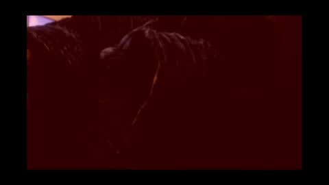 Joeygumbo online show from 01/03/25, 02:19