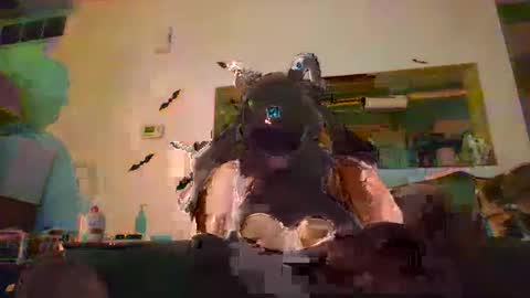 johnnyadepth online show from 11/01/25, 01:07