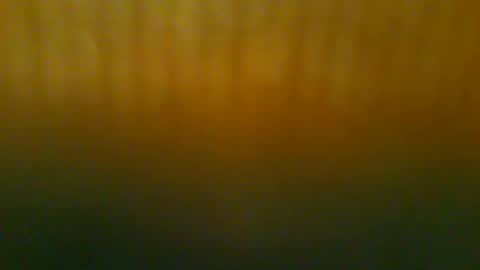 Snapshot of johnnyshung1 chatting on 12/21/25, 11:50 johnnyshung1 online show from 12/21/25, 11:50