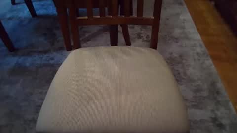 Snapshot of johnxxx549 chatting on 11/03/25, 03:46 johnxxx549 online show from 11/03/25, 03:46