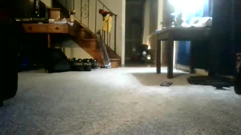 Johnynasty87 online show from 06/07/26, 04:27