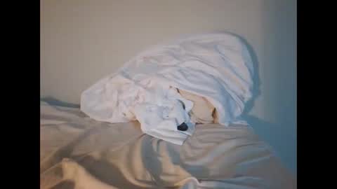 jojooo27 online show from 02/14/26, 06:48