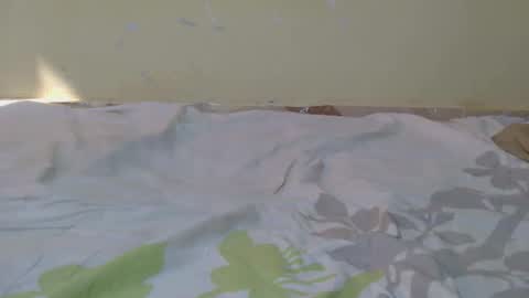 joko_dick online show from 01/16/26, 06:39