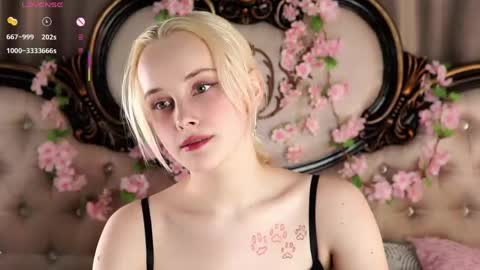 Alice online show from 04/17/26, 11:13